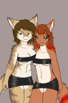  2019 anthro big_breasts black_sclera blush breasts canid canine caradhina clothed clothing digital_media_(artwork) domestic_cat duo felid feline felis female fire fully_clothed fur green_eyes hair helia_peppercats_(wrinklynewt) hi_res looking_at_viewer mammal simple_background skirt wbnsfwfactory 