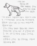  animal collar dog gogocherry highres korean military monochrome text_focus translation_request 