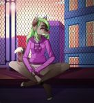  canid canine cloakedthief clothed clothing female flimp green_hair hair hi_res hoodie jesse_(cloakedthief) mammal sitting solo 