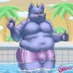  2019 anthro belly bulge canid canine canis clothing cute_fangs domestic_dog hi_res humanoid_hands male mammal moobs navel outside overweight overweight_male shikapandakuma solo swimsuit 