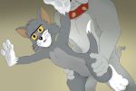  anal canid canine canis collar domestic_cat domestic_dog featureless_crotch felid feline felis fur male male/male mammal multicolored_fur muscular spike_(tom_&amp;_jerry) tom_&amp;_jerry tom_(tom_&amp;_jerry) two_tone_fur unknown_artist 