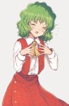  1girl ascot bangs blush collared_shirt cowboy_shot eyebrows_visible_through_hair eyes_closed flan_(harry_mackenzie) flat_chest flying_sweatdrops frilled_ascot frills green_hair grey_background hands_up head_tilt highres kazami_yuuka long_skirt long_sleeves medium_hair open_clothes open_mouth open_vest plaid plaid_skirt plaid_vest red_skirt red_vest shiny shiny_hair shiny_skin shirt simple_background skirt skirt_set smile touhou vest wavy_hair white_shirt yellow_neckwear younger 