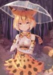  animal_ears animal_ears_(artist) kemono_friends serval tail umbrella 