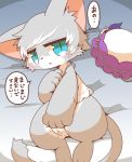  2019 anthro blue_eyes crepix dialogue domestic_cat felid feline felis female fur grey_fur japanese_text looking_at_viewer mammal pussy pussy_juice solo tears text translation_request 