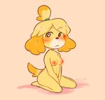  animal_crossing anthro blush breasts canid canine canis domestic_dog female fur hair hi_res isabelle_(animal_crossing) looking_at_viewer mammal navel nintendo nipples nude seii_shin shih_tzu simple_background sitting solo video_games yellow_fur 