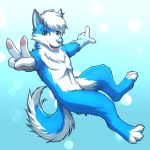  2019 anthro blue_eyes blue_fur blue_nose canid canine canis digital_media_(artwork) digitigrade domestic_dog fur gradient_background hair husky mammal mykegreywolf nude open_mouth simple_background smile teeth tongue white_hair 