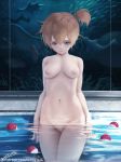  kasumi_(pokemon) letdie1414 pokemon tagme wet 