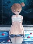  kasumi_(pokemon) letdie1414 pokemon tagme wet 