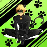  1boy adrien_agreste animal_ears bell biby-san blonde_hair bodysuit cat_ears chat_noir gloves green_background green_eyes looking_at_viewer male_focus mask miraculous_ladybug short_hair sitting smile solo tail teeth 