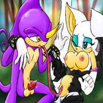  espio_the_chameleon rouge_the_bat sonic_team sonicrose tagme 