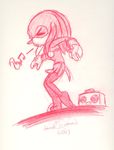  knuckles_the_echidna sonic_team tagme 
