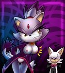  blaze_the_cat nancher rouge_the_bat sonic_team tagme 