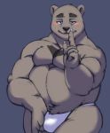  2019 anthro belly black_nose blush bulge clothing humanoid_hands jumperbear male mammal moobs navel overweight overweight_male simple_background solo underwear ursid 