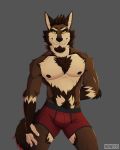  2019 anthro boxer_briefs bulge canid canine canis clothing coyote digital_media_(artwork) fur hi_res howeed looking_at_viewer male mammal solo underwear west 