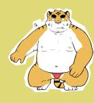  2019 anthro belly clothing cute_fangs eddga_go felid male mammal moobs navel nipples overweight overweight_male pantherine simple_background solo tiger underwear 
