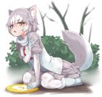  1girl animal_ear_fluff animal_ears blazer blue_eyes boots bush commentary_request day dog_(mixed_breed)_(kemono_friends) dog_ears dog_girl dog_tail elbow_gloves eyebrows_visible_through_hair fang forest frisbee full_body fur_trim gloves grey_gloves grey_hair grey_legwear hair_flaps harness heterochromia jacket kemono_friends kneeling miniskirt nature open_mouth orange_eyes outdoors pantyhose pleated_skirt scarf short_hair short_sleeves skirt solo sweater tail tail_raised tree white_gloves white_hair white_legwear yamai yellow_eyes 