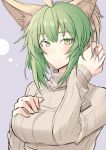  1girl adjusting_hair ahoge alternate_hair_length alternate_hairstyle animal_ears atalanta_(fate) breasts cat_ears closed_mouth commentary_request eyebrows_visible_through_hair fate/apocrypha fate_(series) gradient_hair green_eyes green_hair hair_between_eyes light_smile medium_breasts multicolored_hair nahu ribbed_sweater short_hair sketch smile solo sweater turtleneck turtleneck_sweater upper_body 