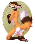  butt canid canine erection fox male mammal nude penis pose ramaelfox solo tairak 