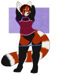  ailurid bottomless clothed clothing female hi_res mammal os panties pussy red_panda solo underwear 