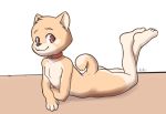  butt canid canine canis collar domestic_dog ketei ketei_(character) lying male mammal nude shiba_inu simple_background solo young 