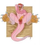  anus claws dragon erection hat headwear hi_res horn imperatorcaesar knot lying male on_back open_mouth paws penis pink_scales red_sclera scales solo spread_legs spreading teeth tongue tongue_out yellow_eyes 