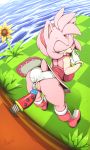  2019 amy_rose anthro argento bent_over big_breasts black_nose boots breasts butt clothing digital_media_(artwork) dress eulipotyphlan female flower footwear gloves grass green_eyes hair hairband half-closed_eyes hedgehog hi_res mammal open_mouth panties panties_aside peach_pussy pink_hair plant plump_labia pussy sex_toy signature solo sonic_(series) sunflower tongue tongue_out underwear underwear_aside white_panties 
