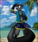  2018 5_fingers anthro beach big_tail brown_eyes clothed clothing cloud fur gloves grey_fur male mammal palm_trees procyonid raccoon scar seaside shorts sly_cooper_(series) smile solo swimming_trunks swimsuit tagme towel verona7881 video_games water 