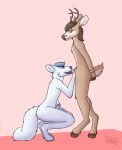  2019 absurd_res anthro antlers blue_fur blue_hair bound breasts brown_fur brown_hair canid canine cervid crouching dickgirl dickgirl/male duo fellatio fox fur hair happy hi_res hooves horn humanoid_penis icefox_(icefox589) intersex intersex/male male mammal mi_(nexii) nexii nude oral paws penis sex simple_background smile standing submissive submissive_female tied_hands 