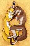  2017 7foxfire animal_genitalia anthro brown_fur canid canine canis detailed_background fox fur hay hi_res i-psilone lying male male/male mammal necklake nude piercing sadwyn sheath white_fur wholesome wolf yellow_fur 