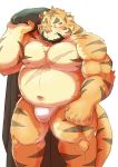  2018 absurd_res anthro belly biceps bulge clothed clothing eyes_closed facial_hair felid fundoshi goatee hi_res humanoid_hands japanese_clothing male mammal moobs muscular muscular_male navel overweight overweight_male pantherine pecs scar simple_background solo tiger topless underwear watoson white_background 