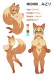  2019 anthro big_breasts blue_eyes blue_highlights breasts bubble butt canid canine countershading curvaceous dipstick_tail female fox fur hair highlights huge_breasts mammal midori_(tailzkim) multicolored_fur multicolored_tail orange_fur pussy short_stack solo tailzkim two_tone_fur wide_hips 