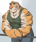  2019 adios anthro biceps clothing felid fur hi_res male mammal muscular pantherine tiger 