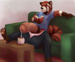  ailurid anthro balls big_balls bulge clothed clothing cum_in_a_cup huge_balls humanoid_penis hyper hyper_balls hyper_penis male mammal penis reading red_panda sitting sofa solo vodcat 