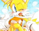 aogirinaru canid canine clothing fox mammal miles_prower sonic_(series) tails_(disambiguation) 