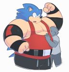  2015 anonymous_male anthro armpit_fetish armpit_sniffing belt blue_fur clothed clothing duo elbow_pads eulipotyphlan flexing fur greenendorf hedgehog human male male/male mammal musclegut muscular muscular_male musk open_mouth pecs shirt shorts sniffing sonic_(series) sonic_the_hedgehog t-shirt tan_fur tank_top tight_clothing wraps wrist_wraps 