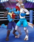  2019 aki_de-volfs.ar anthro barefoot biceps boxing boxing_gloves brown_hair canid canine canis clothed clothing detailed_background digital_media_(artwork) duo fighting_ring hair hi_res lucario male mammal muscular muscular_male nintendo pok&eacute;mon pok&eacute;mon_(species) punch red_eyes smile sport sweat topless uppercut video_games wolf 