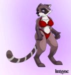  bra captain_sale clothed clothing female fur guardians_of_the_galaxy hi_res kersync mammal marvel panties procyonid raccoon simple_background skimpy solo underwear 
