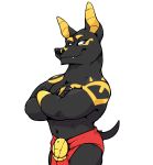  adastra alpha_channel anthro anubian_jackal black_fur canid canine canis clothing crossed_arms digital_media_(artwork) fangs fur haps jackal loincloth looking_at_viewer male mammal muscular muscular_male navel neferu_(adastra) simple_background solo standing transparent_background 