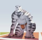  2018 anthro belly bulge clothing felid fur hi_res humanoid_hands male mammal moobs muscular muscular_male navel neiiio nipples outside pantherine pecs slightly_chubby solo tiger underwear white_fur 