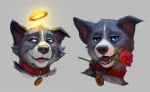  blue_eyes blush border_collie bust_portrait canid canine canis collar collie domestic_dog halo looking_at_viewer mammal object_in_mouth open_mouth portrait rose_(disambiguation) solo strange-fox teeth tongue 