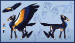  2019 absurd_res blue_eyes digital_media_(artwork) equid equine feathered_wings feathers feral hi_res hooves mammal model_sheet pterippus solo turnipberry wings 