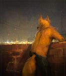 anthro black_nose canid canine canis clothing fur male mammal painting sky strange-fox whiskers white_fur wolf 