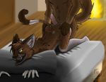  anal anal_penetration anthro bed butt canid canine canis cum domestic_cat domestic_dog duo erection felid feline felis fur male male/male male_penetrating mammal penetration ryuigi sex tongue 