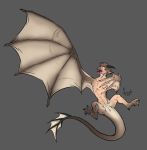  animal_genitalia claws dragon feral genital_slit grey_background hair hi_res hindpaw horn human male mammal membranous_wings nipples nude open_mouth paws simple_background slit solo sparks_99 toe_claws transformation winged_arms wings wyvern 