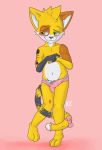  absurd_res anthro blush brown_fur bulge clothed clothing crossdressing domestic_cat erection felid feline felis fur green_eyes hi_res katxfish katxlogan male mammal nude orange_fur panties penis_outline solo standing underwear white_fur yellow_fur 