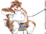  2019 anthro belly blush brown_fur canid canine canis clothing cute_fangs domestic_dog dyzd1 flaccid fur hi_res humanoid_hands humanoid_penis male mammal moobs navel nipples one_eye_closed overweight overweight_male penis sitting solo underwear wink 