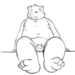  2019 anthro balls belly black_nose eyes_closed flaccid hi_res humanoid_hands humanoid_penis male mammal moobs navel neiiio nipples overweight overweight_male penis sitting solo ursid 