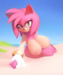  absurd_res amy_rose anthro areola beach big_breasts bracelet breasts clothing condom eulipotyphlan fangs female footwear gloves green_eyes grin half-closed_eyes hedgehog hi_res jewelry looking_at_viewer mammal naughty_face nipples nude offering_condom plantpenetrator sandals seaside smile solo sonic_(series) 