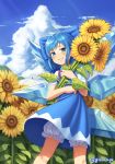  1girl absurdres artist_name bangs bloomers blue_bow blue_dress blue_eyes blue_hair blue_sky blush bow cirno cloud commentary_request day dress feet_out_of_frame field flower flower_field goback grin hair_bow highres holding holding_flower ice ice_wings leaf looking_at_viewer neck_ribbon outdoors parted_lips pinafore_dress puffy_short_sleeves puffy_sleeves red_neckwear red_ribbon ribbon shirt short_hair short_sleeves sidelocks sky smile solo standing sunflower touhou twitter_username umbrella underwear white_bloomers white_shirt white_umbrella wings 