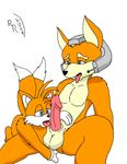  crossover fox_mccloud rave_roo sonic_team star_fox tails 